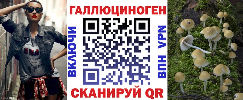 продажа наркотиков  мега   Псилоцибиновые грибы Psilocybe  Владивосток 