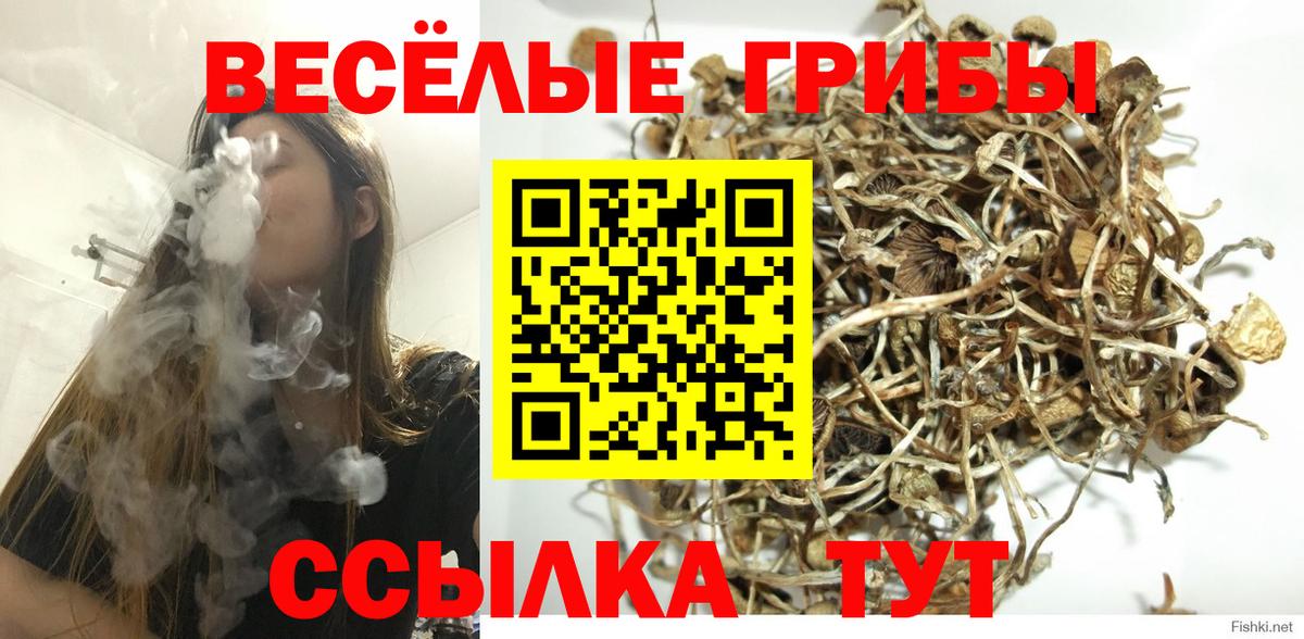 Галлюциногенные грибы MAGIC MUSHROOMS Владивосток