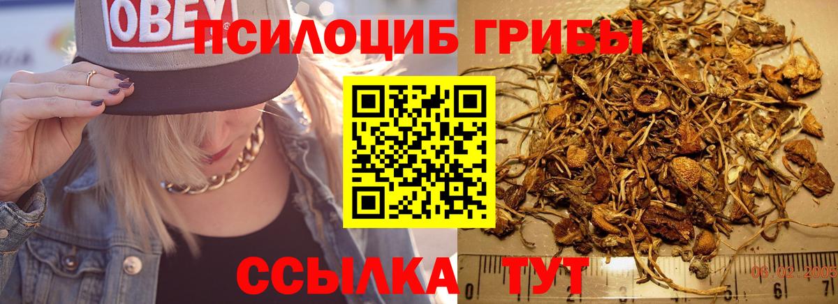 Владивосток  Галлюциногенные грибы Magic Shrooms  Вход с VPN 